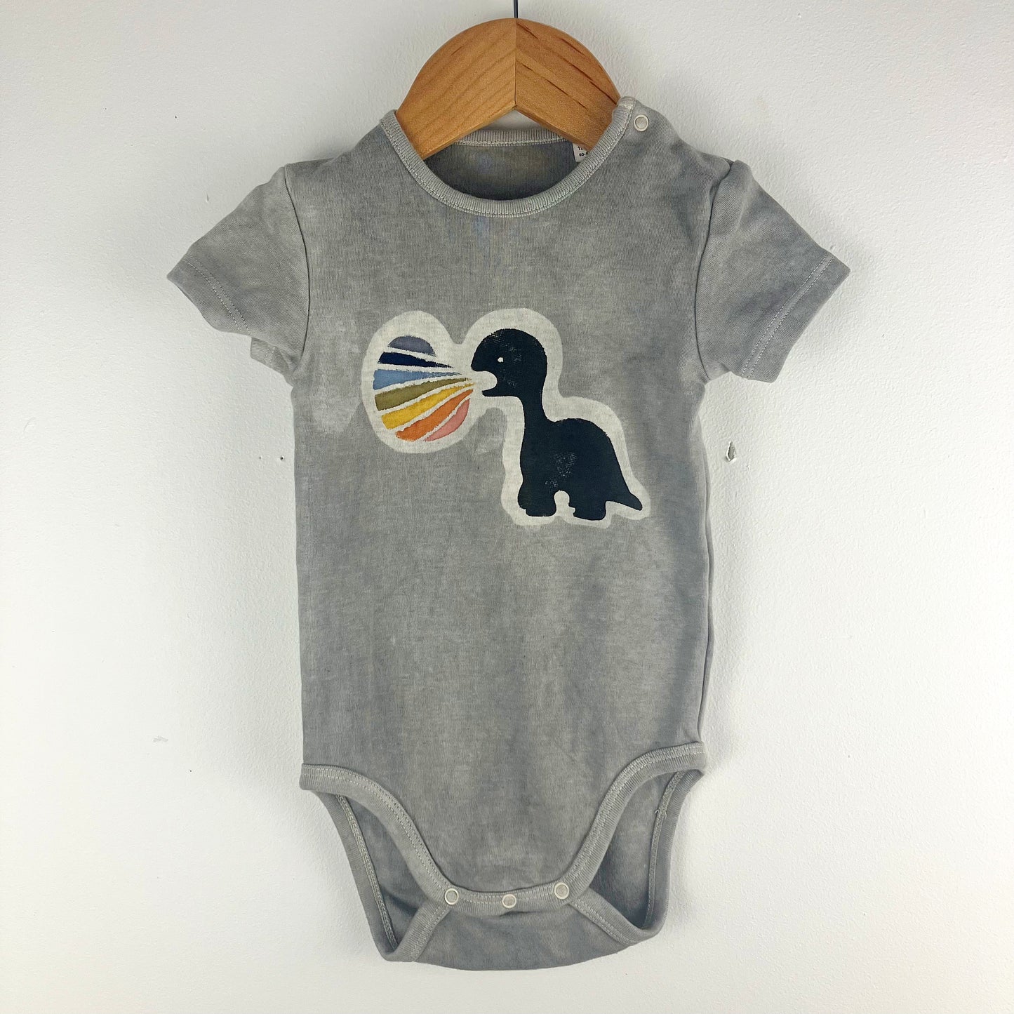 Kids Dinosaur