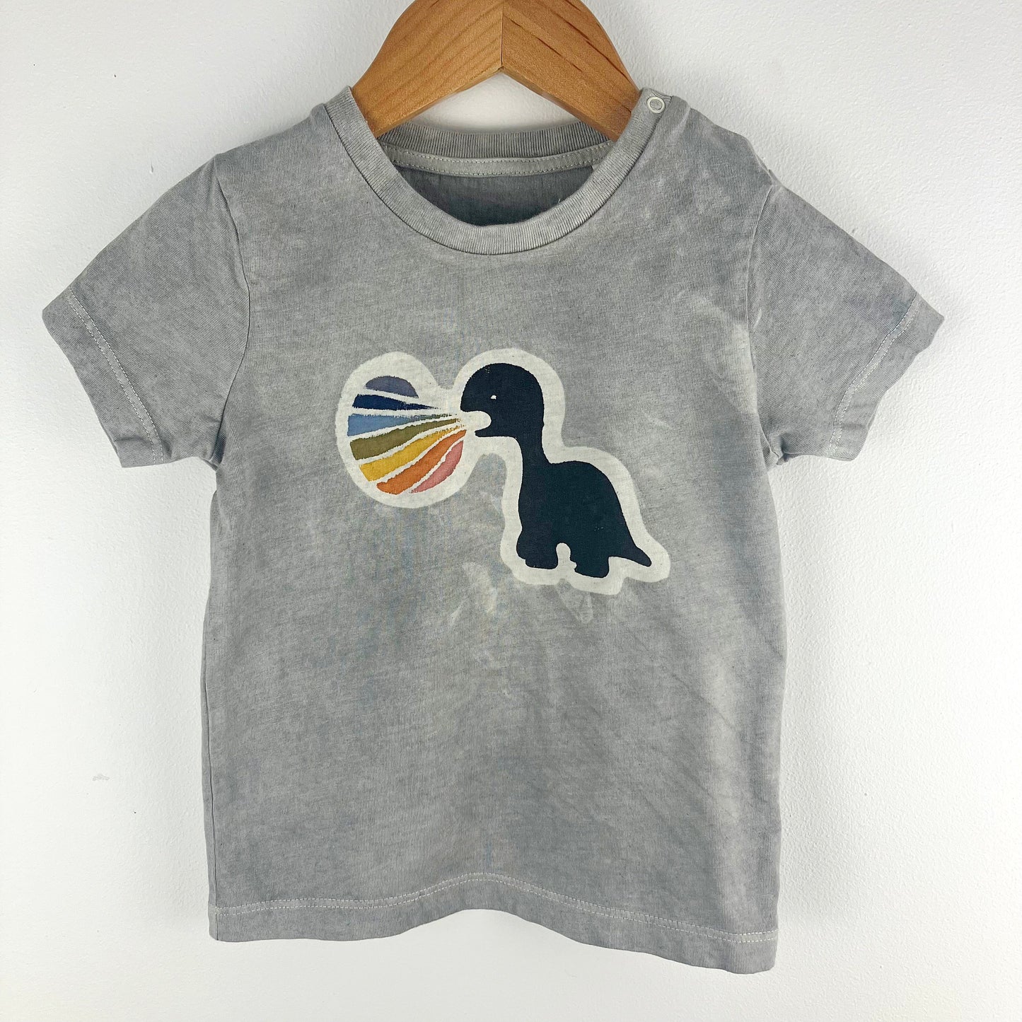 Kids Dinosaur