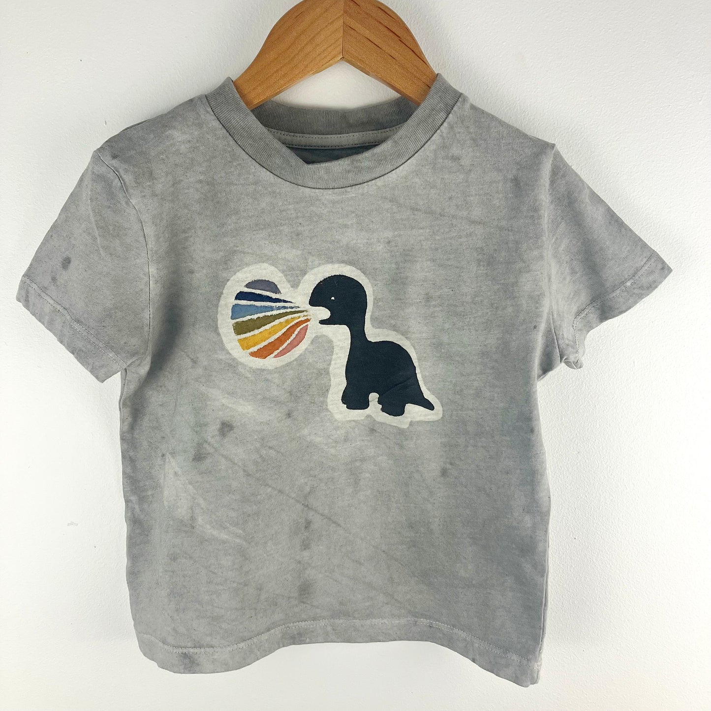 Kids Dinosaur