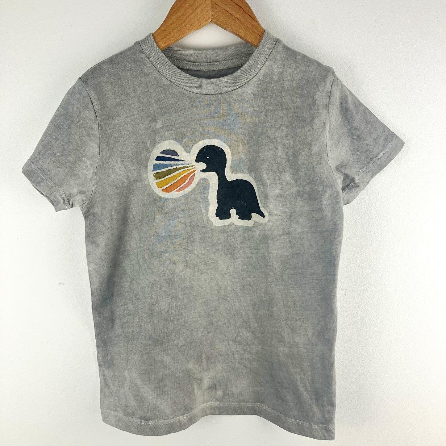 Kids Dinosaur
