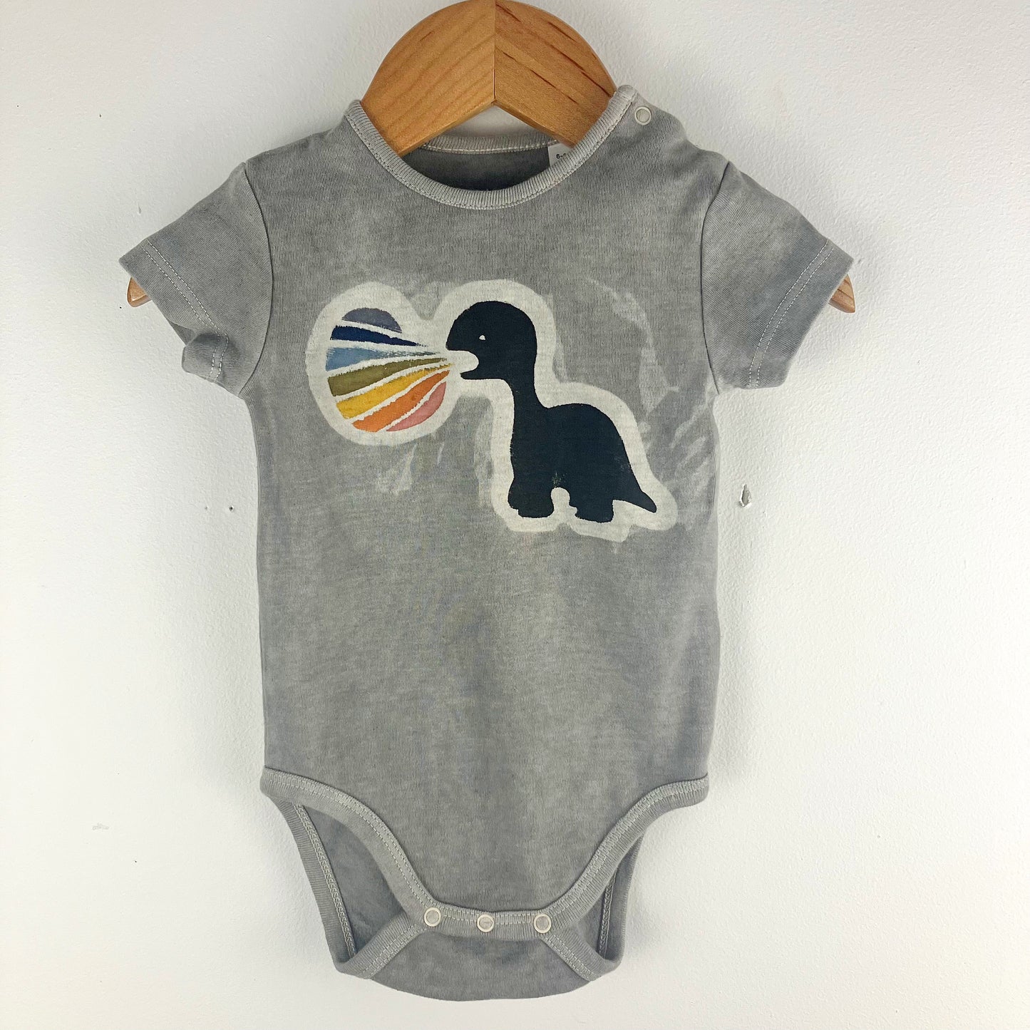 Kids Dinosaur