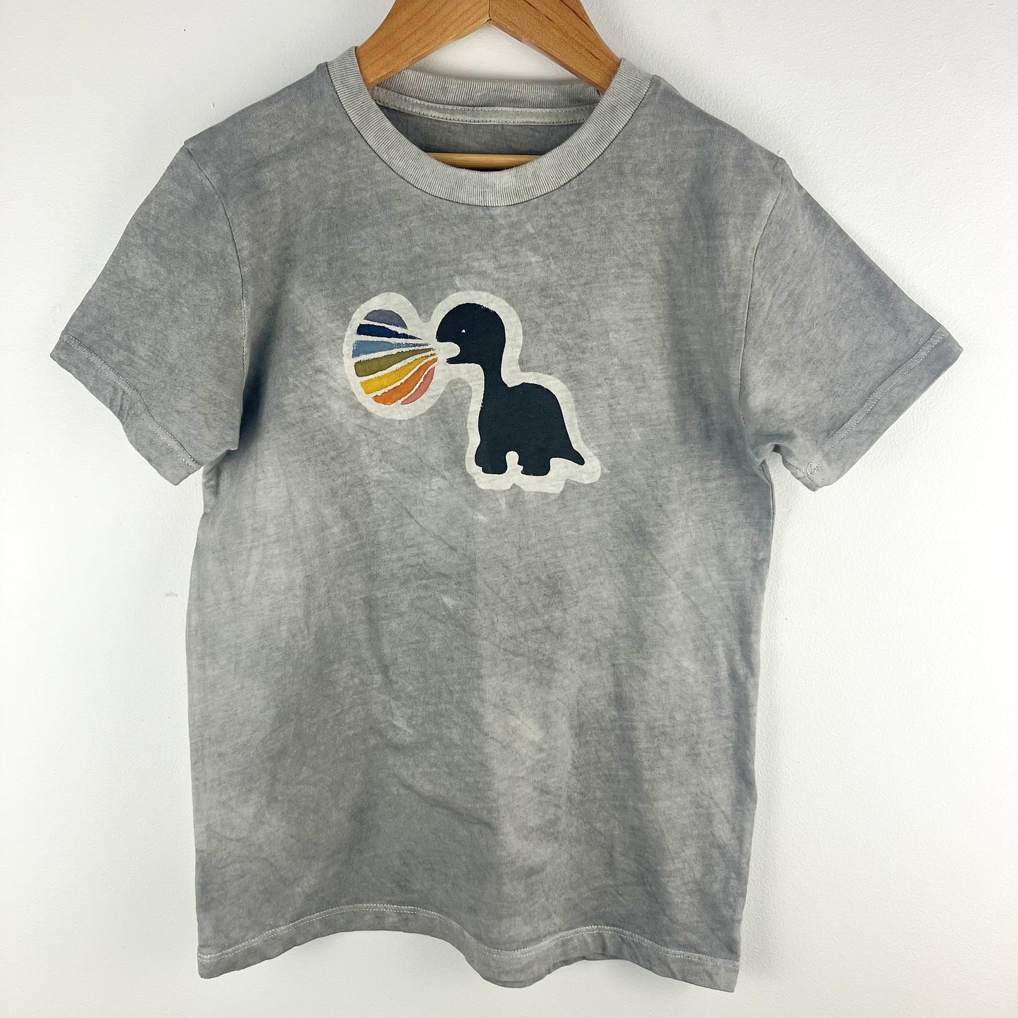 Kids Dinosaur