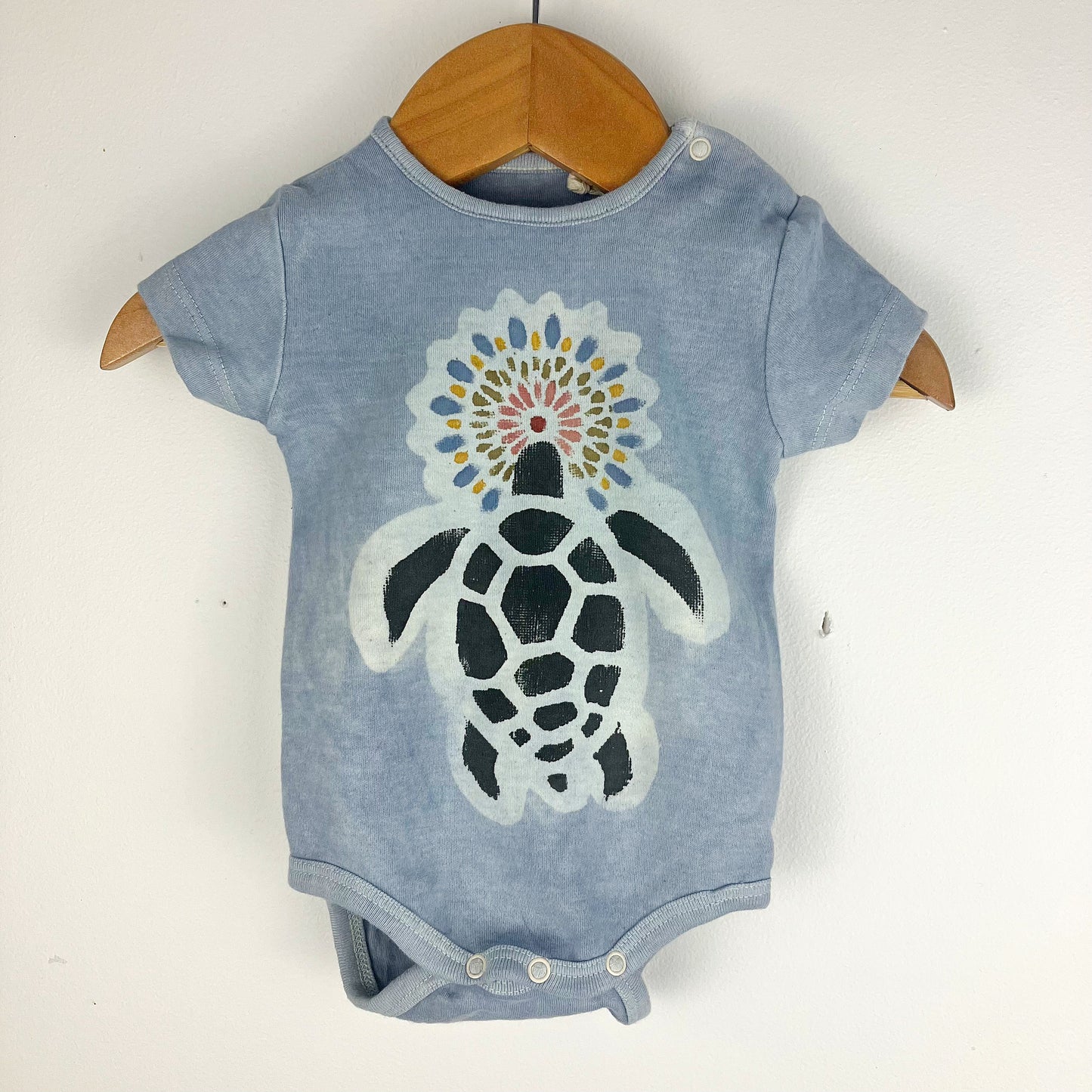Kids Turtle