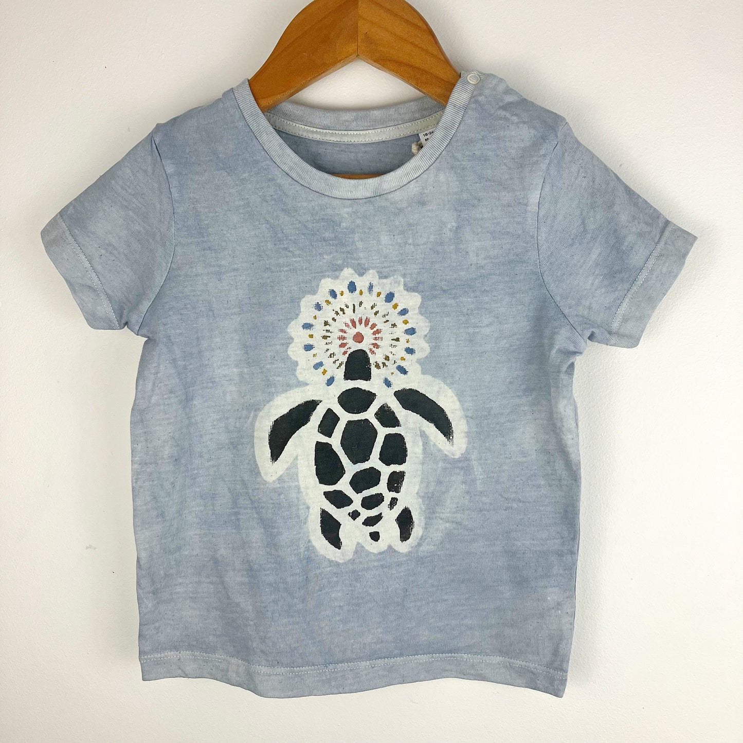 Kids Turtle