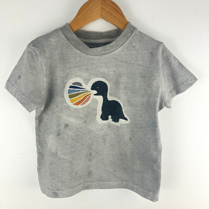 Kids Dinosaur