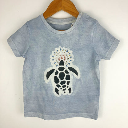 Kids Turtle