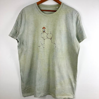 Structure of Psilocybin